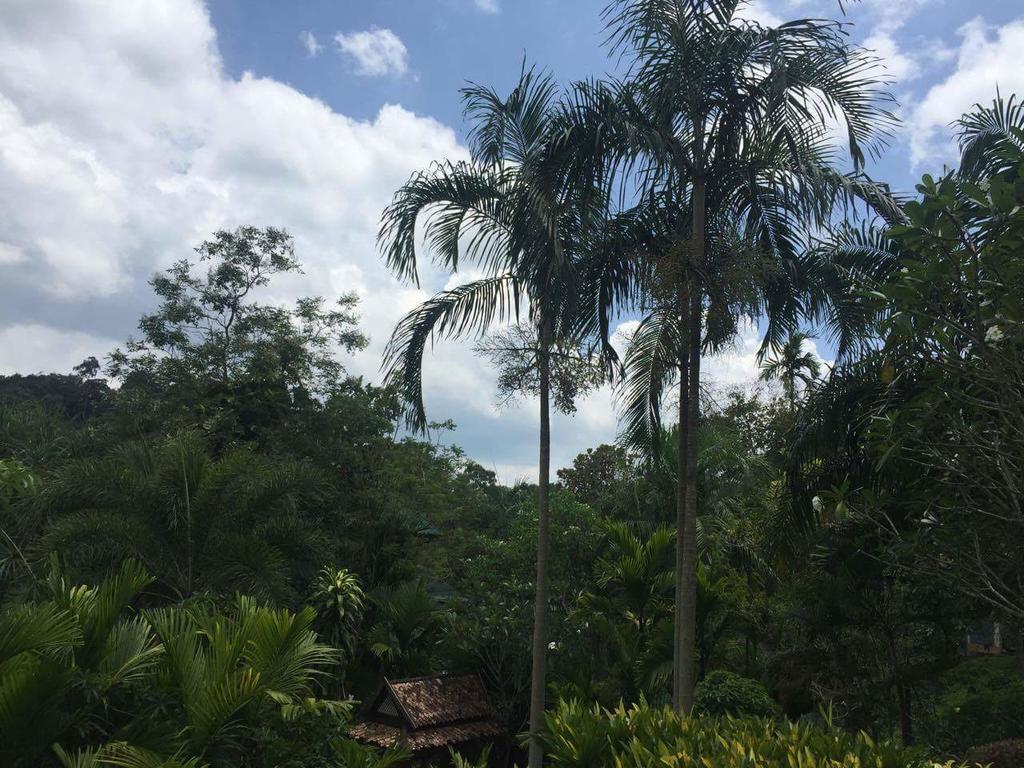 Aonang Cliff Mountain New Resort Ао Нанг Экстерьер фото